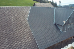 dachinspektion (31)