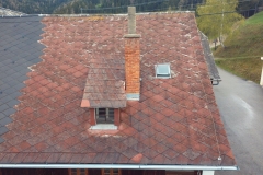 dachinspektion (36)