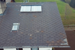dachinspektion (37)