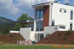 fassadenverkleidung (18)