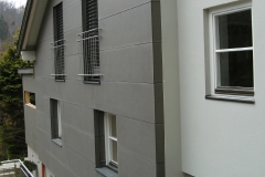 fassadenverkleidung (30)