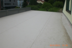 flachdach (20)