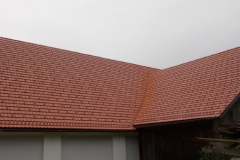 steildach (35)